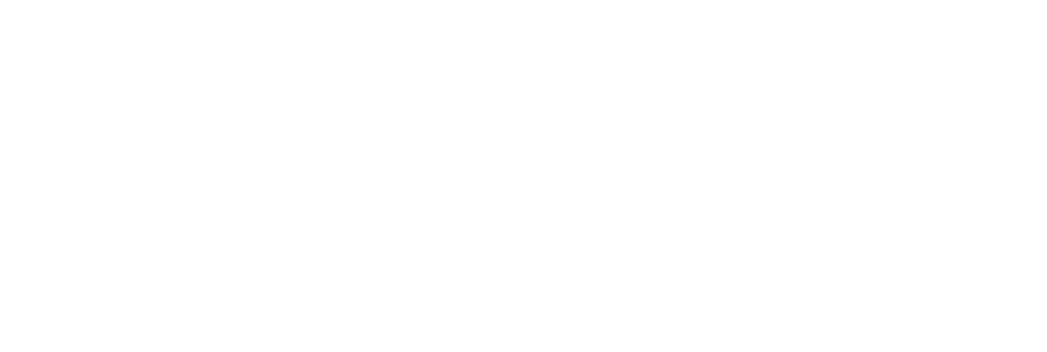 ÚNICO